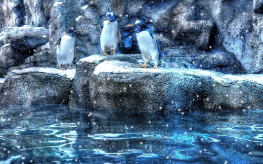755305 (a): :2560x1600